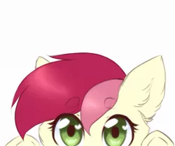 Size: 1023x857 | Tagged: safe, artist:redslipp, derpibooru import, roseluck, pony, bust, cute, cuteluck, ear fluff, eyebrows, fluffy, looking at you, peeking, portrait, simple background, solo, white background