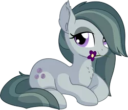 Size: 7073x6081 | Tagged: safe, artist:cyanlightning, derpibooru import, marble pie, earth pony, pony, .svg available, absurd resolution, chest fluff, cute, ear fluff, female, flower, lidded eyes, looking at you, marblebetes, mare, mouth hold, prone, simple background, sitting, solo, transparent background, vector