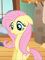 Size: 712x937 | Tagged: safe, derpibooru import, screencap, fluttershy, pegasus, pony, hurricane fluttershy, bipedal, cropped, female, floppy ears, mare, offscreen character, open mouth, solo focus