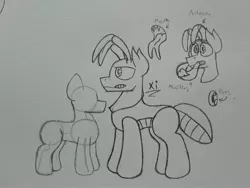Size: 2576x1932 | Tagged: safe, artist:drheartdoodles, derpibooru import, oc, oc:xi, bug pony, insect, pony, antenna, forked tongue, mandibles, monochrome, mouth, size difference, sketch, tongue out, traditional art