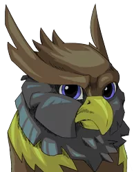 Size: 670x864 | Tagged: safe, artist:lockhe4rt, derpibooru import, oc, oc:peregrine, gryphon, ponyfinder, dungeons and dragons, griffon oc, pen and paper rpg, rpg, solo