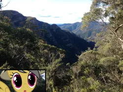 Size: 1280x957 | Tagged: safe, artist:didgereethebrony, derpibooru import, daring do, pony, australia, canyon, cliff, didgeree collection, eucalyptus, irl, kanangra boyd national park, mlp in australia, photo, ponies in real life, solo, valley, wide eyes