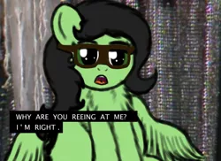 Size: 2234x1628 | Tagged: safe, artist:redcrow32, derpibooru import, oc, oc:anonfilly, pegasus, pony, 4chan, eric andre, exploitable meme, female, filly, glasses, hannibal buress, meme, open mouth, reeee, talking, the eric andre show, why are you booing me i'm right