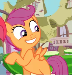 Size: 773x797 | Tagged: safe, derpibooru import, screencap, apple bloom, scootaloo, earth pony, pegasus, pony, one bad apple, cropped, cute, cutealoo, female, filly, grin, looking back, offscreen character, smiling, solo focus