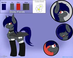 Size: 2500x2000 | Tagged: safe, artist:eclipsepenumbra, artist:eclipsethebat, derpibooru import, oc, oc:daisy fields, unofficial characters only, bat pony, clothes, collar, commission, cutie mark, laughing, reference sheet, smiling, socks, surprised