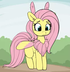 Size: 1413x1434 | Tagged: :3, 30 minute art challenge, artist:pabbley, bush, chest fluff, cute, derpibooru import, ear fluff, female, fluffershy, fluttermoth, fluttershy, insect, monster mare, moth, mothpony, original species, rosy maple moth, safe, shyabetes, smiling, solo, species swap