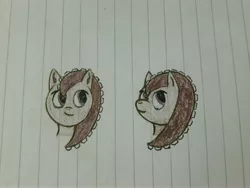 Size: 4128x3096 | Tagged: safe, artist:juani236, derpibooru import, oc, oc:couchry desim, unofficial characters only, pony, bust, female, head, lined paper, solo, test, traditional art, zipper