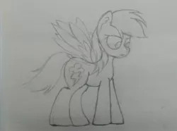 Size: 3178x2368 | Tagged: safe, artist:twinblade edge, derpibooru import, rainbow dash, pony, lined paper, monochrome, solo, spread wings, traditional art, wings