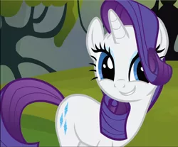 Size: 1136x939 | Tagged: safe, derpibooru import, screencap, rarity, pony, unicorn, spike at your service, cropped, cute, eye shimmer, female, mare, raribetes, smiling, solo, teeth