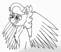 Size: 1440x1224 | Tagged: safe, artist:summerium, derpibooru import, oc, oc:summer lights, unofficial characters only, pegasus, pony, glasses, grin, male, photo, smiling, traditional art, wings