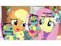 Size: 960x720 | Tagged: safe, derpibooru import, edit, edited screencap, editor:countcoltnackh, screencap, applejack, fluttershy, holly the hearths warmer doll, pony, best gift ever, 1000 years in photoshop, applejack's hat, comic sans, concerned, cowboy hat, dank memes, earmuffs, exploitable meme, hat, looking at each other, me irl, meme, text, train