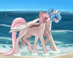 Size: 1024x815 | Tagged: safe, artist:xfrosting, derpibooru import, oc, oc:prime, unofficial characters only, pegasus, pony, unicorn, beach, blue eyes, colored hooves, couple, cutie mark, duo, eye contact, feathered hooves, gay, horn, looking at each other, male, ocean, pair, pink eyes, ponytail, shore, side by side, sky, smiling, stallion, walking, water, wet hooves, wings