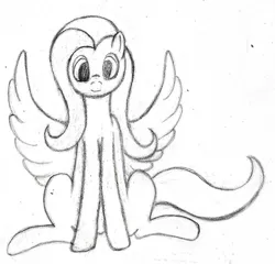 Size: 1100x1056 | Tagged: safe, artist:mfg637, derpibooru import, fluttershy, pegasus, pony, female, front view, looking at you, mare, sitting, sketch, solo, spread wings, traditional art, wings