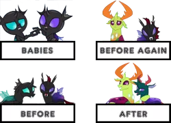 Size: 1280x924 | Tagged: artist:dashiesparkle, artist:kirbymlp, artist:no-time-for-caution, artist:sketchmcreations, baby, brothers, changedling, changeling, derpibooru import, king thorax, male, nymph, pharynx, prince pharynx, reformed, safe, siblings, the times they are a changeling, thorax, to change a changeling
