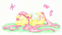 Size: 900x516 | Tagged: safe, artist:mu-tsu, derpibooru import, angel bunny, fluttershy, butterfly, pegasus, pony, rabbit, animal, cutie mark, duo, female, folded wings, long hair, long tail, male, mare, outdoors, prone, simple background, sleeping, stray strand, traditional art, unshorn fetlocks, white background, wings