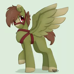 Size: 2000x2000 | Tagged: safe, artist:littledreamycat, derpibooru import, oc, oc:olive hue, pegasus, pony, bondage, cute, halter, male, malesub, stallion, submissive