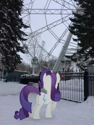 Size: 2448x3264 | Tagged: safe, artist:albertuha, derpibooru import, rarity, pony, unicorn, female, ferris wheel, irl, mare, photo, ponies in real life, raised hoof, snow, solo, winter