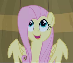 Size: 1087x940 | Tagged: safe, derpibooru import, screencap, fluttershy, pegasus, pony, filli vanilli, barrel, cropped, cute, female, happy, looking up, mare, open mouth, shyabetes, smiling, solo, wings