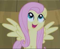 Size: 1143x943 | Tagged: safe, derpibooru import, screencap, fluttershy, pegasus, pony, filli vanilli, barrel, cropped, cute, female, looking up, mare, open mouth, shyabetes, smiling, solo, spread wings, wings