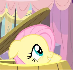 Size: 867x829 | Tagged: safe, derpibooru import, screencap, fluttershy, pegasus, pony, filli vanilli, barrel, cropped, cute, female, floppy ears, hiding, mare, peekaboo, shyabetes, smiling