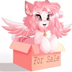 Size: 3840x3885 | Tagged: safe, artist:airiniblock, derpibooru import, oc, oc:morning radiance, pegasus, pony, behaving like a cat, bell, bell collar, box, collar, colored wings, colored wingtips, cute, ocbetes, pony in a box, rcf community, smiling, solo, spread wings, wings