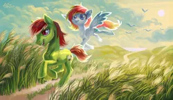 Size: 1024x595 | Tagged: safe, artist:holivi, derpibooru import, oc, unofficial characters only, bird, earth pony, pegasus, pony, duo, field, running, sun