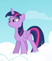 Size: 503x591 | Tagged: safe, derpibooru import, screencap, twilight sparkle, twilight sparkle (alicorn), alicorn, pony, testing testing 1-2-3, cloud, cropped, lidded eyes, on a cloud, smug, solo, standing on cloud