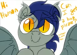 Size: 700x495 | Tagged: safe, artist:prismspark, derpibooru import, oc, oc:echo, unofficial characters only, bat pony, pony, ..., bat pony oc, bat wings, bronybait, bust, cute, dialogue, eye clipping through hair, eyebrows visible through hair, hug request, ocbetes, simple background, slit eyes, slit pupils, solo, speech, spread wings, talking, talking to viewer, transparent mane, white background, wings