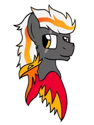 Size: 1536x2048 | Tagged: safe, artist:showtimeandcoal, derpibooru import, oc, oc:wyngs triumphant, unofficial characters only, phoenix, pony, commission, digital art, head shot, male, ponysona, scar, simple background, solo, stallion, transparent background