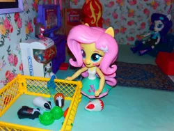 Size: 2064x1548 | Tagged: safe, derpibooru import, fluttershy, rarity, sunset shimmer, equestria girls, clothes, doll, dollhouse, equestria girls minis, eqventures of the minis, gashapon, giroro, guinea pig, irl, photo, rug, skirt, tanktop, toy