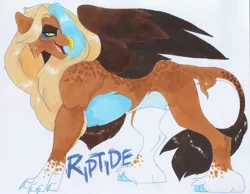 Size: 3780x2928 | Tagged: artist:frozensoulpony, classical hippogriff, cloven hooves, colored claws, colored hooves, derpibooru import, hippogriff, hybrid, interspecies offspring, male, mane, marker drawing, oc, oc:riptide, offspring, parent:gilda, parents:gildin', parent:soarin', safe, solo, traditional art, unofficial characters only, unshorn fetlocks