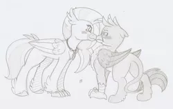 Size: 1280x807 | Tagged: safe, artist:ravenpuff, deleted from derpibooru, derpibooru import, gallus, silverstream, classical hippogriff, gryphon, hippogriff, blushing, boop, chest fluff, cute, diastreamies, female, gallstream, grayscale, lineart, male, monochrome, noseboop, pencil drawing, scrunchy face, shipping, size difference, straight, traditional art, tsundere