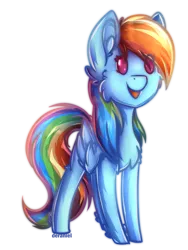 Size: 958x1277 | Tagged: safe, artist:deraniel, derpibooru import, rainbow dash, pegasus, pony, beady eyes, cheek fluff, chest fluff, cute, dashabetes, ear fluff, eye clipping through hair, female, fluffy, leg fluff, mare, open mouth, simple background, solo, transparent background