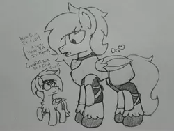 Size: 2576x1932 | Tagged: safe, artist:drheartdoodles, derpibooru import, oc, oc:dr.heart, oc:emerald beats, clydesdale, pegasus, pony, armor, dialogue, guard, knee pads, looking down, size difference