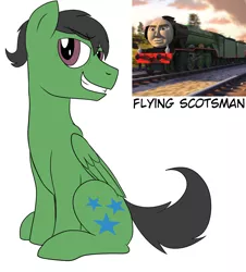 Size: 1438x1594 | Tagged: safe, artist:wolftendragon, derpibooru import, ponified, pegasus, pony, flying scotsman, male, solo, stallion, thomas the tank engine