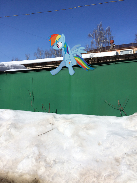 Size: 2448x3264 | Tagged: safe, artist:albertuha, derpibooru import, rainbow dash, pegasus, pony, female, garage, irl, mare, photo, ponies in real life, sitting, snow, solo, winter