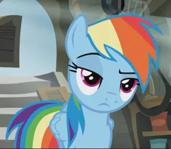 Size: 1027x896 | Tagged: safe, derpibooru import, screencap, rainbow dash, pegasus, pony, the lost treasure of griffonstone, are you kidding me, cropped, displeased, female, folded wings, frown, griffonstone, lidded eyes, looking at someone, magenta eyes, mare, multicolored mane, multicolored tail, narrowed eyes, rainbow dash is not amused, raised eyebrow, shop, solo, unamused, wings