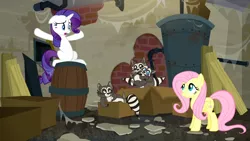 Size: 1920x1080 | Tagged: safe, derpibooru import, screencap, fluttershy, rarity, smoky, smoky jr., softpad, pony, raccoon, the saddle row review, baby, barrel, box, cardboard box, disturbed, family, father, father and child, father and son, female, floppy ears, like father like son, like mother like son, male, mare, messy, mother, mother and child, mother and son, regular show, rigby, smiling, son