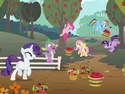 Size: 566x425 | Tagged: safe, derpibooru import, fluttershy, pinkie pie, rainbow dash, rarity, spike, twilight sparkle, unicorn, apple, apple tree, applebucking, basket, bucket, eating, food, puffy cheeks, tree, unicorn twilight