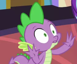 Size: 754x631 | Tagged: baby, baby dragon, celestial advice, claws, cropped, derpibooru import, dragon, fangs, hands up, male, open mouth, safe, screencap, season 7, solo, spike, tail, wide eyes