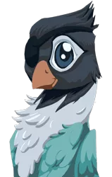 Size: 620x976 | Tagged: safe, artist:lockhe4rt, derpibooru import, oc, oc:lovebird mccaw, gryphon, ponyfinder, blue, bust, cute, dungeons and dragons, lovebird, pathfinder, pen and paper rpg, pirate, portrait, rpg, solo, swashbuckler