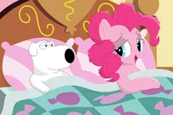 Size: 3546x2365 | Tagged: suggestive, artist:porygon2z, derpibooru import, pinkie pie, dog, pony, aftersex, bed, brian griffin, crossover, crossover shipping, family guy, messy mane, pillow, shipping, why