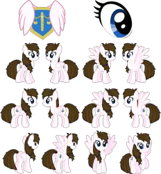 Size: 7627x8231 | Tagged: safe, artist:lightningbolt, derpibooru import, oc, oc:blue skies, unofficial characters only, pegasus, pony, commission, female, flying, folded wings, looking at you, mare, reference sheet, show accurate, simple background, transparent background, vector, wings