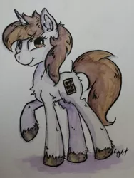 Size: 1440x1920 | Tagged: safe, artist:lightisanasshole, derpibooru import, oc, oc:dorm pony, pony, solo, traditional art