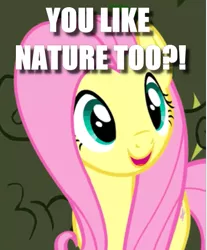 Size: 429x519 | Tagged: caption, cropped, cute, derpibooru import, edit, edited screencap, exclamation point, fluttershy, image macro, interrobang, question mark, safe, screencap, shyabetes, solo, text, the return of harmony