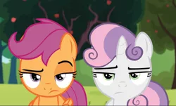 Size: 1507x910 | Tagged: safe, derpibooru import, screencap, scootaloo, sweetie belle, pegasus, pony, unicorn, brotherhooves social, cropped, duo, female, filly, lidded eyes, raised eyebrow, scootaloo is not amused, sweetie belle is not amused, unamused