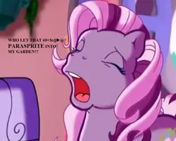 Size: 1120x896 | Tagged: safe, derpibooru import, edit, edited screencap, screencap, wysteria, pony, the princess promenade, angry, censored vulgarity, cropped, dialogue, g3, grawlixes, swearing, vulgar, window