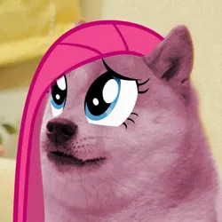 Size: 960x960 | Tagged: safe, artist:rayscratch, derpibooru import, edit, pinkie pie, dog, pony, shiba inu, doge, female, meme, pinkamena diane pie, sad, shibe, solo, wat