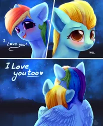 Size: 3257x4000 | Tagged: safe, artist:alphadesu, derpibooru import, lightning dust, rainbow dash, pegasus, pony, comic, commission, dialogue, female, hug, i love you, lesbian, love, mare, night, night sky, rainbowdust, shipping, sky, starry night, stars, winghug, wings, ych result