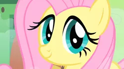 Size: 1280x720 | Tagged: safe, derpibooru import, screencap, fluttershy, pony, a bird in the hoof, close-up, cute, face of mercy, shyabetes, solo